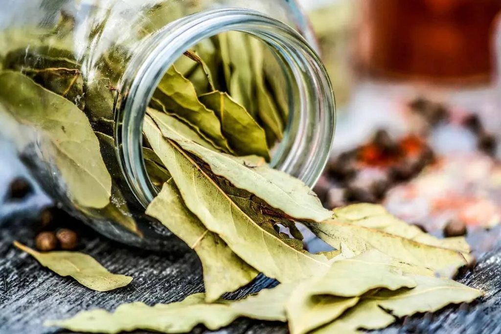 Víťazstvo nad mastnou pečeňou, bolestivými kĺbmi a akoukoľvek infekciou. Recept je veľmi jednoduchý
